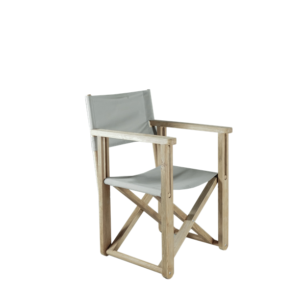 Director chair